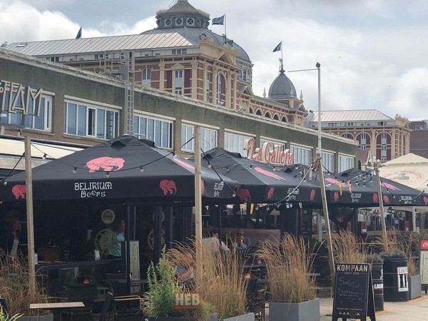 Cafe Şemsiye Modelleri | Büyüksoy | Şemsiye, Gazebo, Bayrak